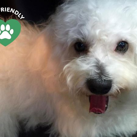 แบร์กาโม อินน์ 15 ภายนอก รูปภาพ The restaurant is pet friendly