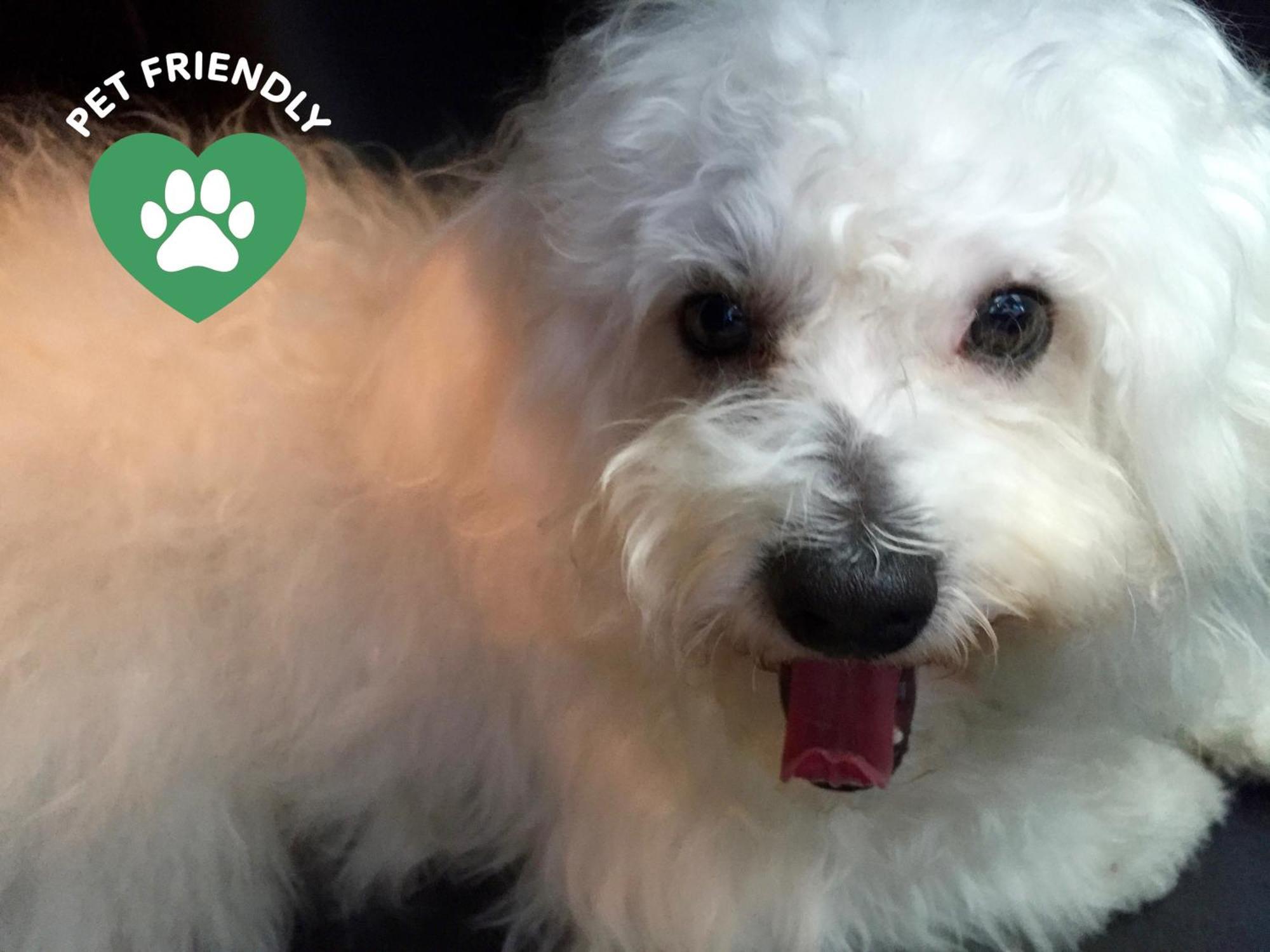 แบร์กาโม อินน์ 15 ภายนอก รูปภาพ The restaurant is pet friendly